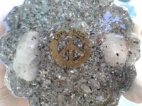 /album/galeria/img-20150710-223644-jpg1/